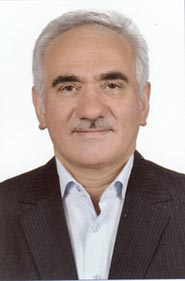 دکتر سید محمد حسین موسوی نیک