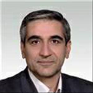 دکتر حسین محمد ربیع