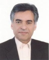 دکتر محمد حسین رجبیان