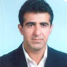 دکتر حمیدرضا میرزایی