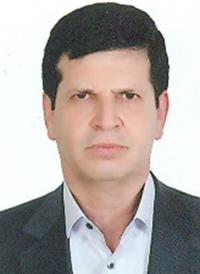 دکتر محمد ابراهیم فریدون پور