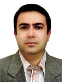 دکتر حمید  دایی