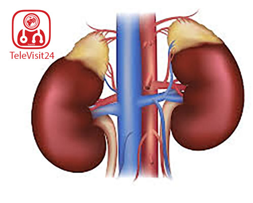 3 نوع بیماری غدد فوق‌کلیوى