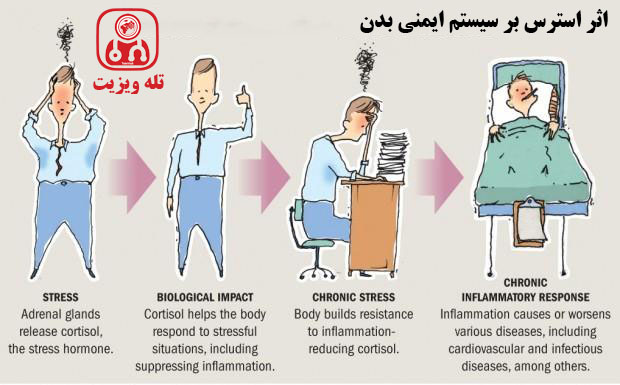 اثر استرس بر سیستم ایمنی بدن