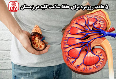 5 عادت روزمره برای حفظ سلامت کلیه در زمستان