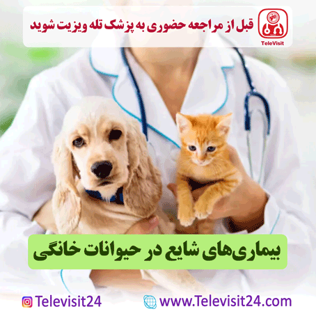 بیماری‌های شایع در حیوانات خانگی
