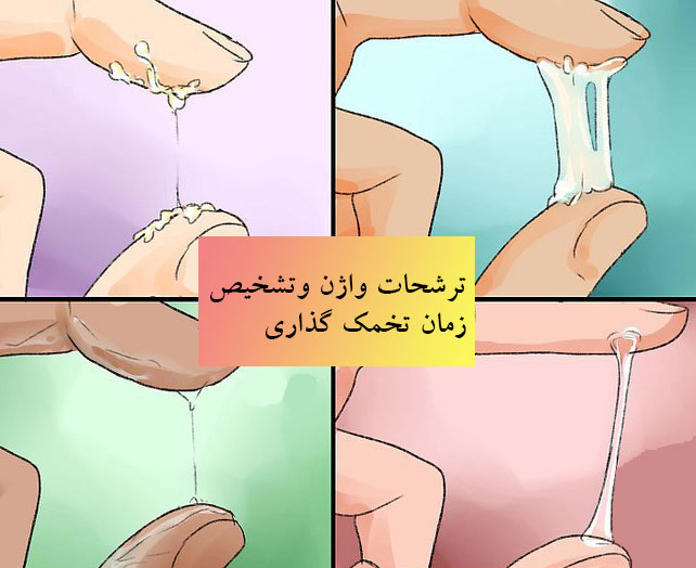 ترشحات واژن